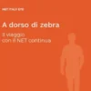 A dorso di zebra