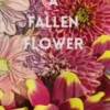 A Fallen Flower