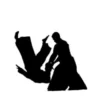Aikido: Unleashing Harmony