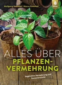 Alles über Pflanzenvermehrung
