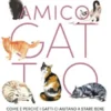 Amico gatto