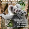 Anglais Pour Les Nulles - Livre Anglais Français Facile A Lire