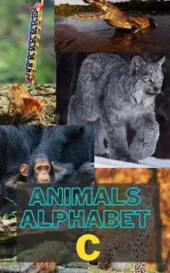 Animals Alphabet C