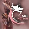 AniMotion, Energy of the four animals