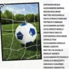 Area Performance nel settore giovanile