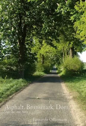 Asphalt. Brunsmark. Dom.