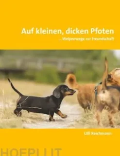 Auf kleinen, dicken Pfoten