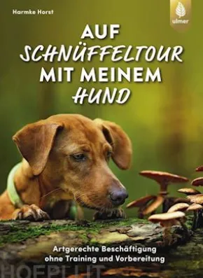 Auf Schnüffeltour mit meinem Hund
