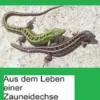Aus dem Leben einer Zauneidechse