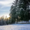 Autres vues janvier 2026
