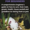 AXOLOTL CARE GUIDE FOR BEGINNERS