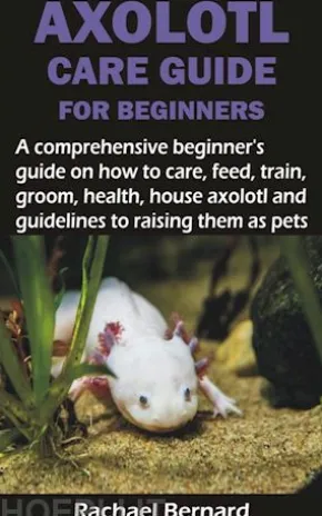AXOLOTL CARE GUIDE FOR BEGINNERS