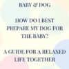 Baby & Dog