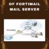 Basic Setup of FortiMail Mail Server