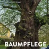 Baumpflege