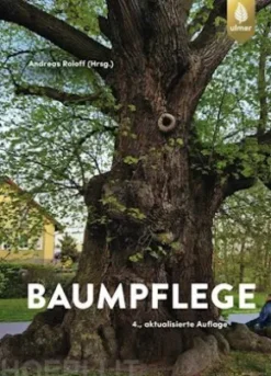 Baumpflege