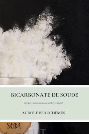 Bicarbonate De Soude