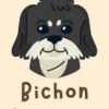 Bichon Havanais