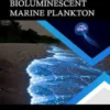 Bioluminescent Marine Plankton