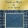Birds in Flight