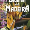 Blumen auf Madeira