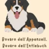 Bovaro dell'Appenzell, Bovaro dell'Entlebuch e Bovaro del bernese