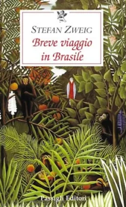 BREVE VIAGGIO IN BRASILE