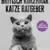 Britisch Kurzhaar Katze Ratgeber