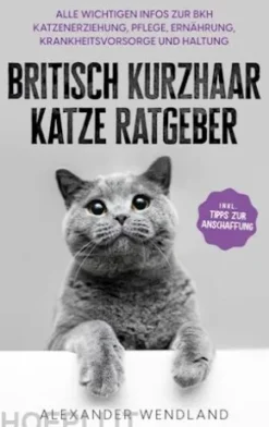 Britisch Kurzhaar Katze Ratgeber