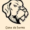 Cane da Ferma Tedesco a Pelo Duro
