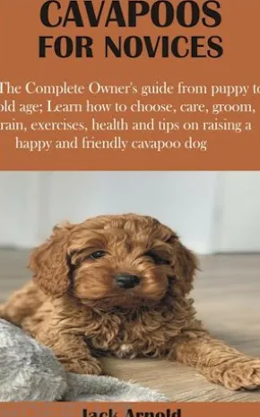 Cavapoos for Novices