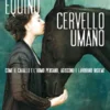 Cervello equino, cervello umano