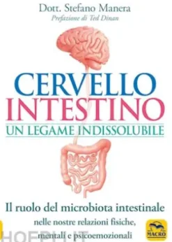 Cervello Intestino Un Legame Indissolubile