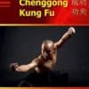Chenggong Kung Fu