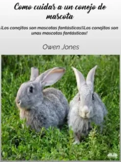 Cómo Cuidar A Un Conejo De Mascota