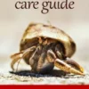 Complete Hermit Crab Care Guide