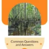 Congaree National Park