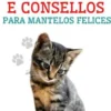 Cría de Gatos Domésticos e Consellos Para Mantelos Felices