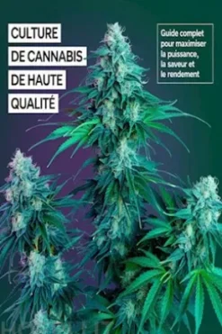 Culture de Cannabis 2026 : Le Guide Complet Indoor et Outdoor — De la Graine à la Récolte pour Maximiser le THC, le CBD et le Rendement