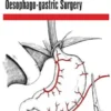 Current and Future Developments in Surgery: Volume 1: Oesophago-gastric Surgery