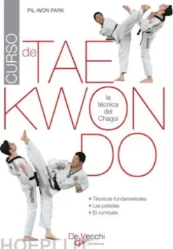 Curso de taekwondo