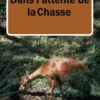 Dans L'attente De La Chasse.