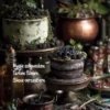 Das Grimoire der Sinne