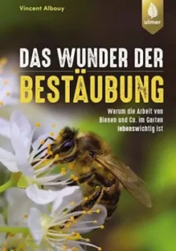 Das Wunder der Bestäubung