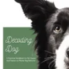 Decoding Dog