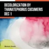 Decolorization by Thanatephorus Cucumeris Dec 1