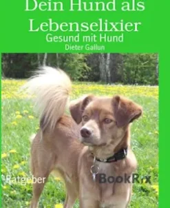 Dein Hund als Lebenselixier