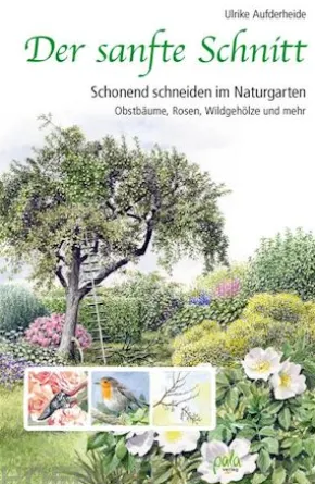 Der sanfte Schnitt