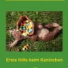 Der Tierarzt rät - Erste Hilfe beim Kaninchen