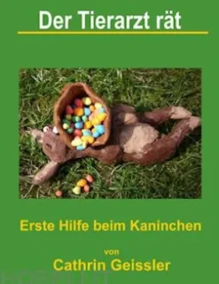 Der Tierarzt rät - Erste Hilfe beim Kaninchen